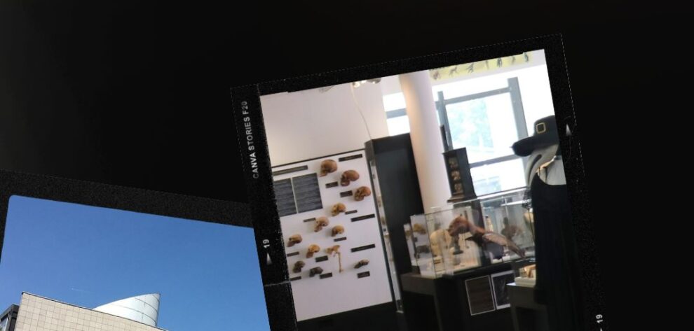 Indisponibilité (1)