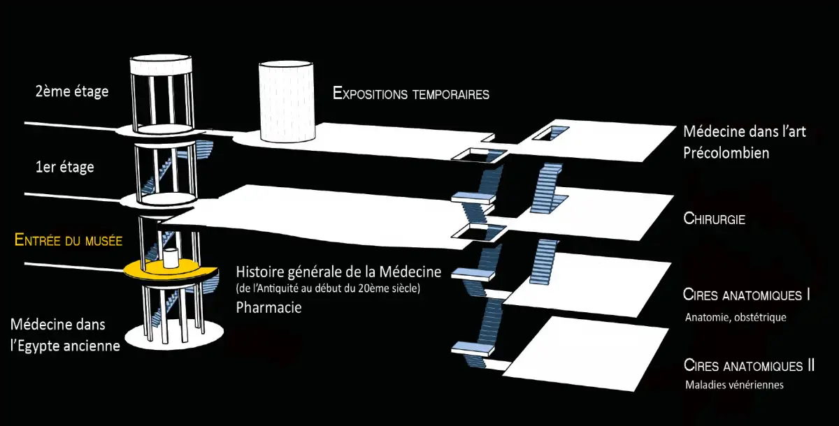 museemedecine-plan-musee-medecine